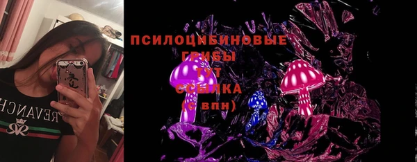 кокс Арсеньев