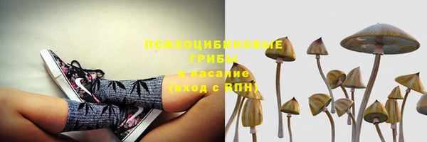 гидра Армянск