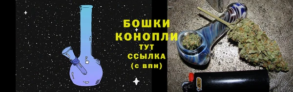 кокс Арсеньев